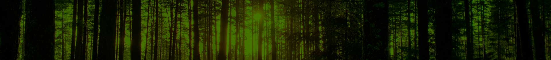 background-banner-tree